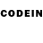 Галлюциногенные грибы GOLDEN TEACHER ITTS