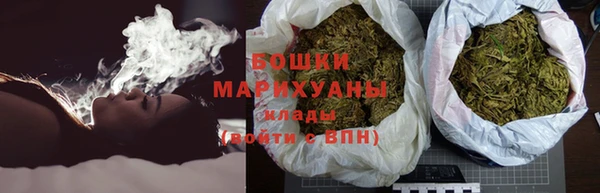 гашик Зеленокумск
