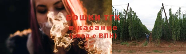 гашик Зеленокумск