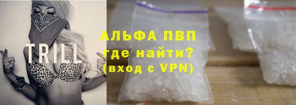 гашик Зеленокумск
