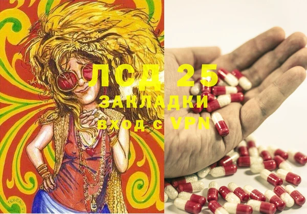 гашик Зеленокумск