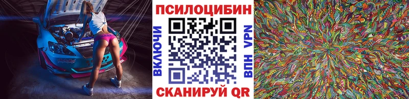 Купить  Миньяр  Псилоцибиновые грибы прущие грибы 